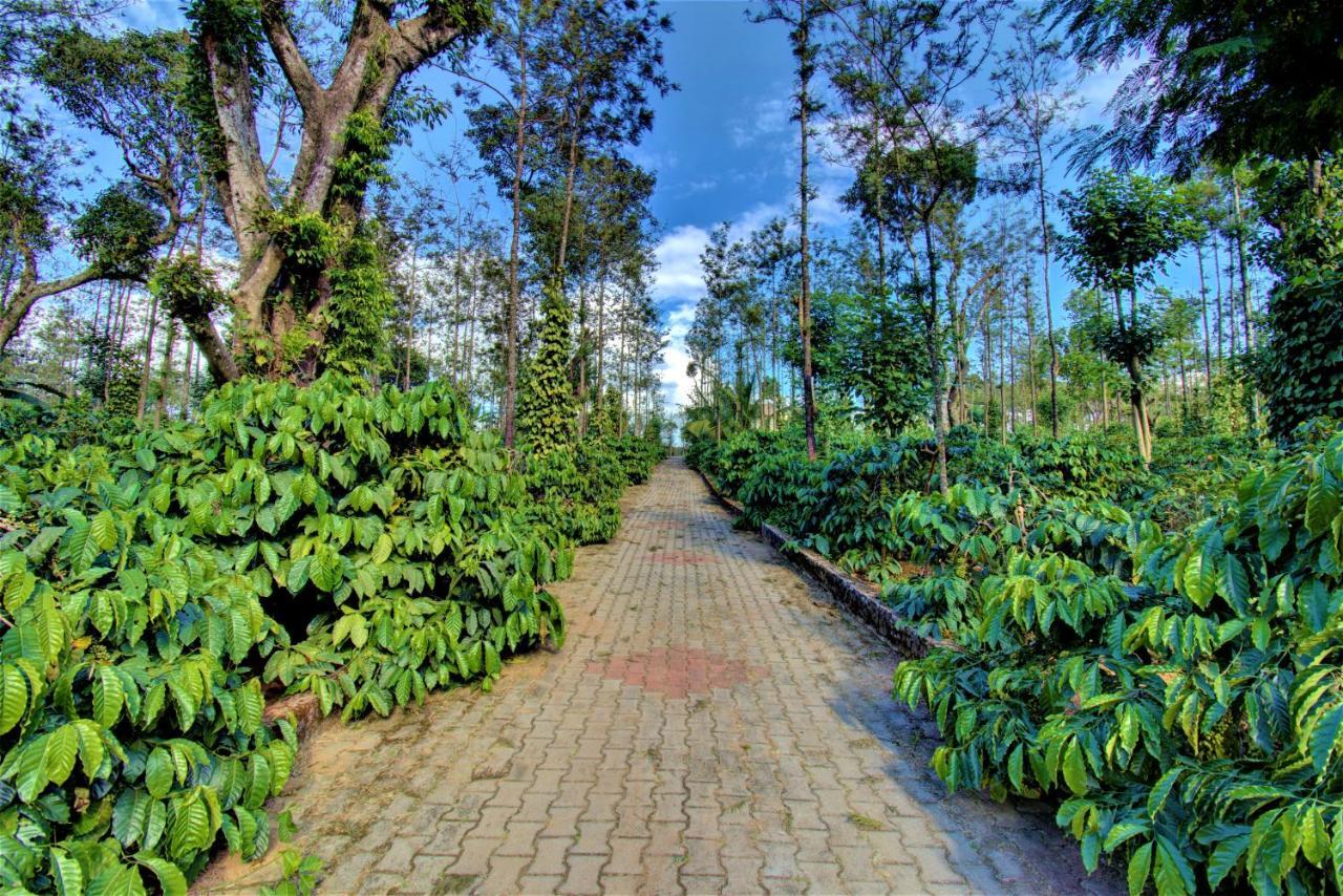 Coorg Bliss Estate Stay Madikeri Eksteriør bilde