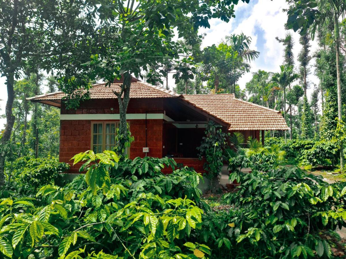 Coorg Bliss Estate Stay Madikeri Eksteriør bilde