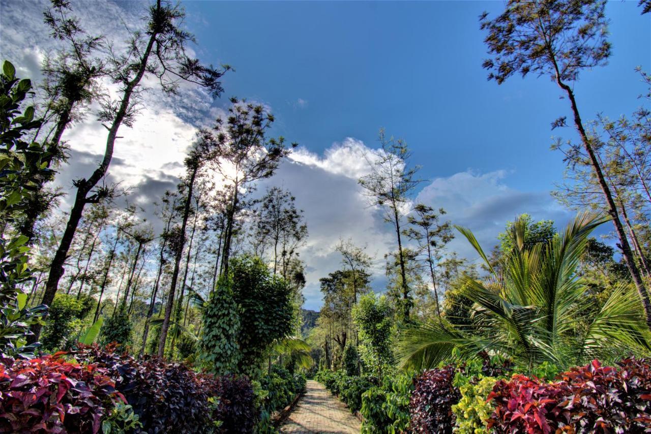 Coorg Bliss Estate Stay Madikeri Eksteriør bilde