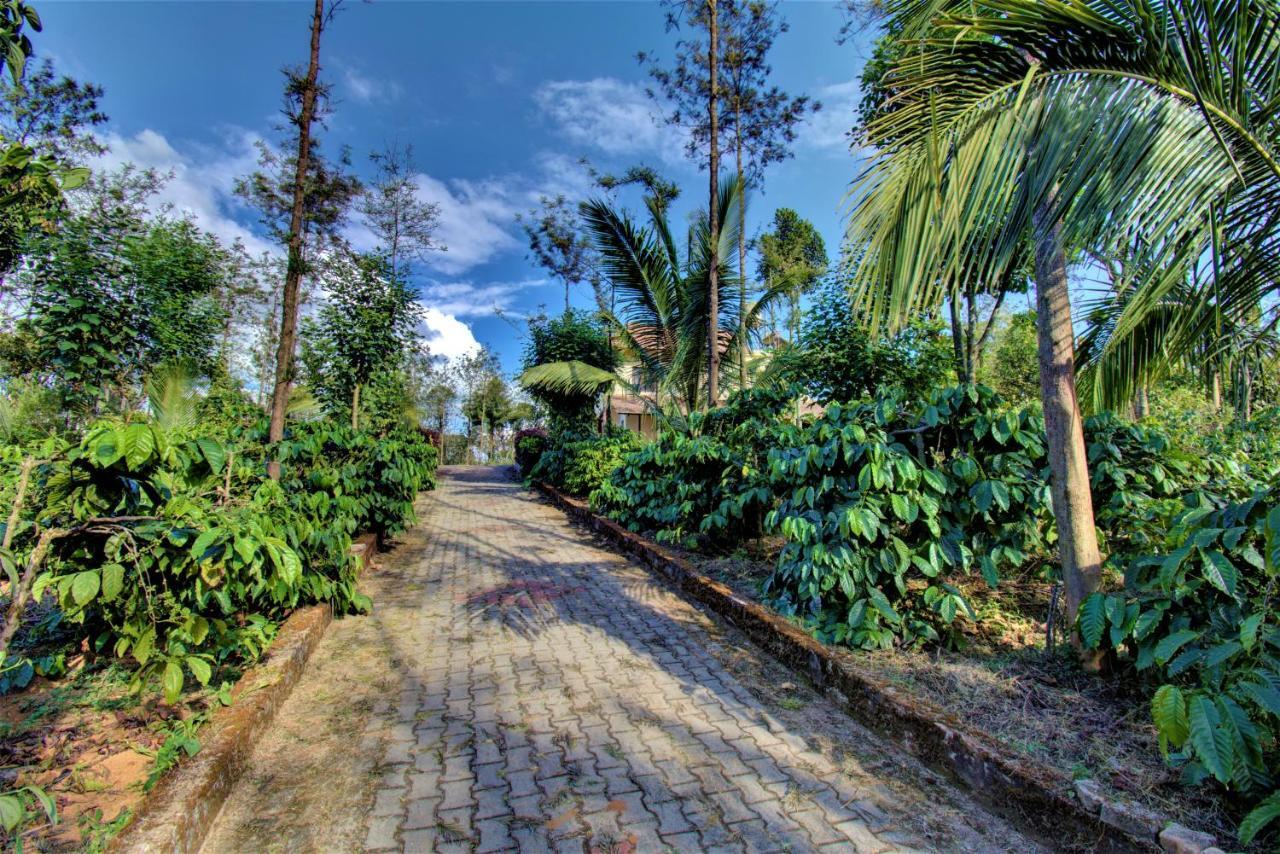 Coorg Bliss Estate Stay Madikeri Eksteriør bilde